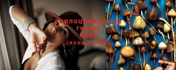 бошки Абинск